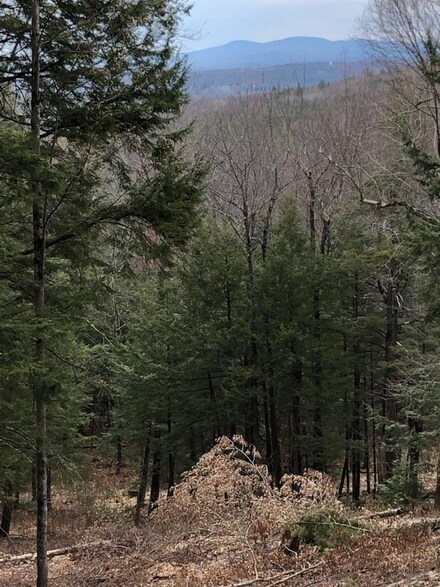 0 Raccoon Hill Rd, Salisbury, NH 03268