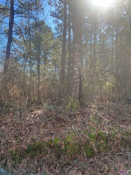 189 Welch Ln, Kentwood, LA 70444