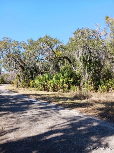 1361 N Point Lonesome Rd, Inverness, FL 34453