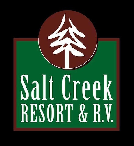 19194 Lower Salt Creek Rd, Lakehead, CA 96051