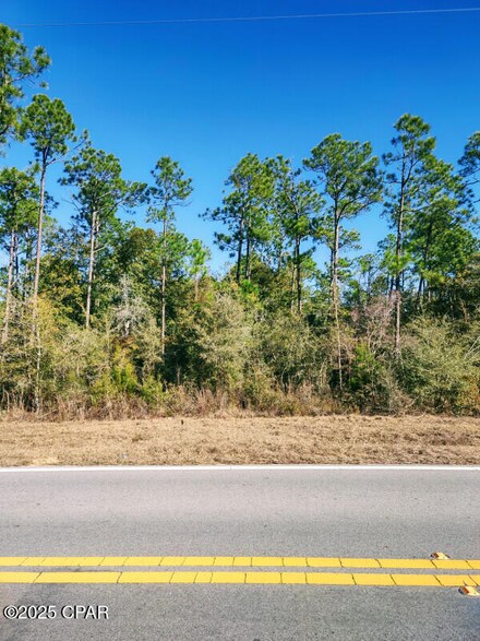 397 Coralvine Dr, Chipley, FL 32428