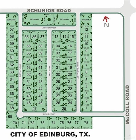 701 N Alexandrite Ave, Edinburg, TX 78541