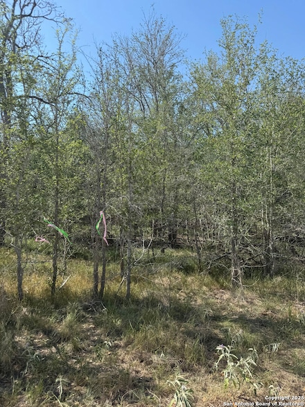 421 Kerr Ave, Sutherland Springs, TX 78161