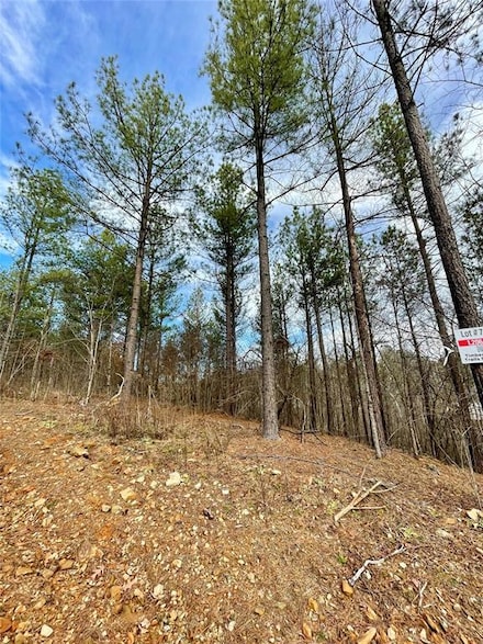 751 Timber Creek Trails South Xl, Broken Bow, OK 74728