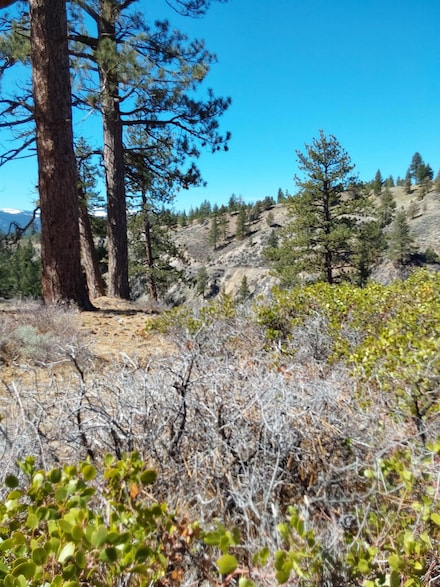 473 Falling Water Unit Hoxie Lot 78, Portola, CA 96122