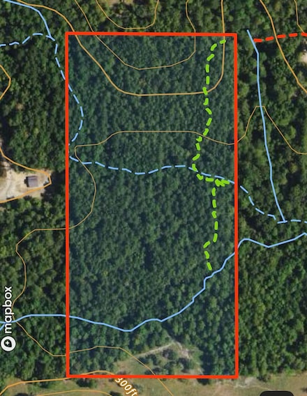 20 acres Mattie Ln, Purvis, MS 39475