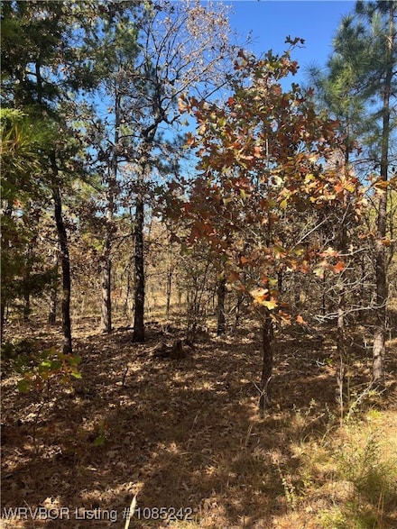 TBD S Booth Ave, Wister, OK 74966