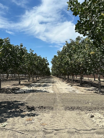 0 E Lansing Ave Unit 232478, Lemoore, CA 93266