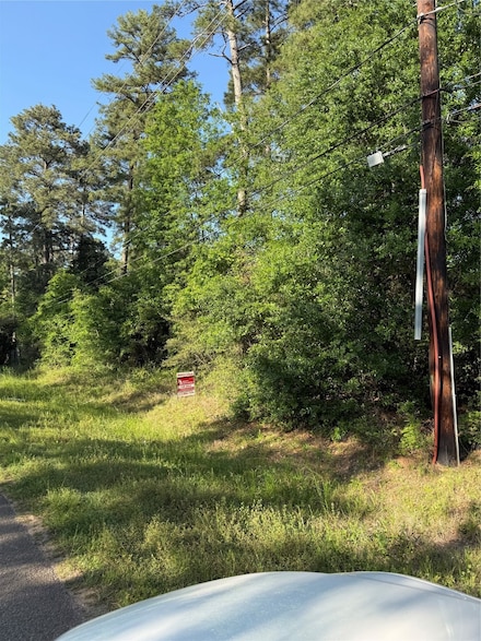 31210 Terri Ln, Magnolia, TX 77355