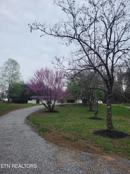1497 Clevenger Rd, New Market, TN 37820