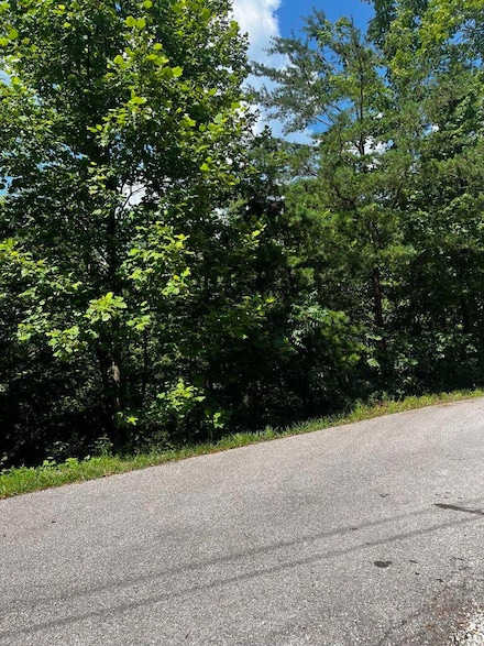 49 Turkey Ridge Rd, Wellington, KY 40387