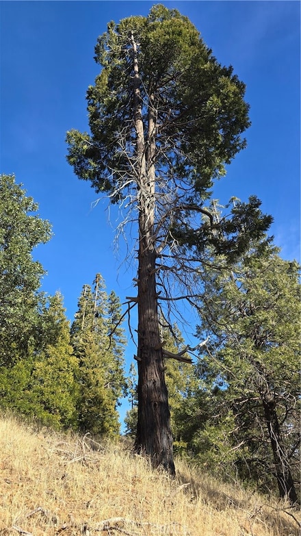0 None Unit CV24254546, Cedarpines Park, CA 92322