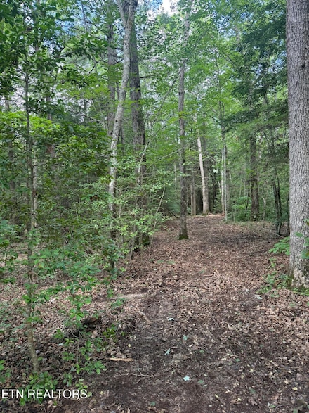 0 Acorn Ln Unit 1305635, Jamestown, TN 38556