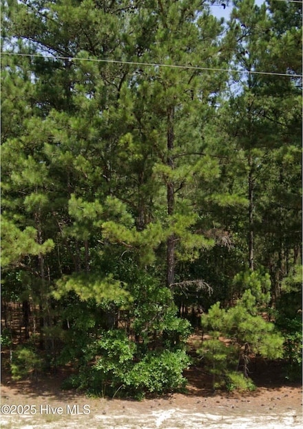 0 Center Baptist Church Rd, Foxfire, NC 27281