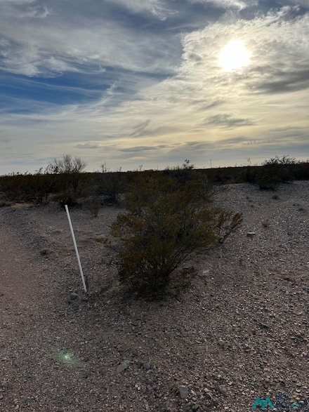 XXXX Roadrunner Lane Lot 8, Columbus, NM 88029