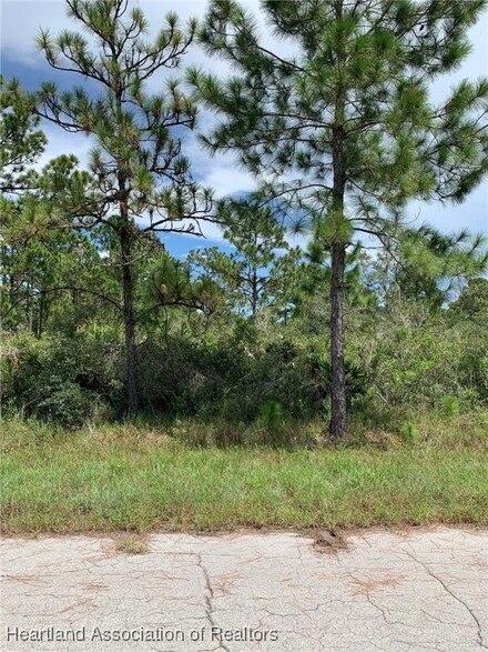 352 Otter Ave NW, Lake Placid, FL 33852
