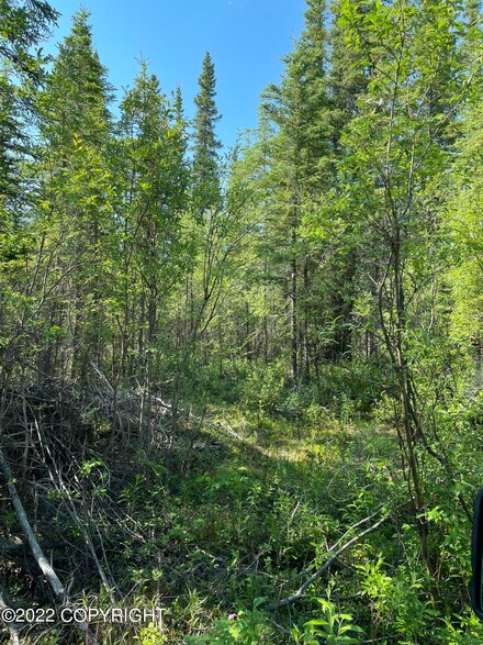 Lot 11 Fox St, Copper Center, AK 99566