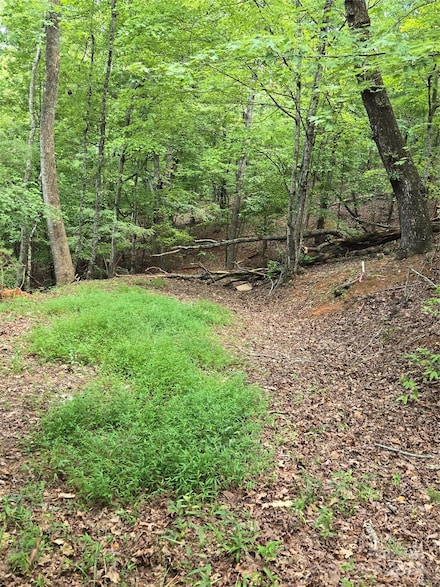 0 Summer Rest Dr Unit 9, Lake Lure, NC 28746