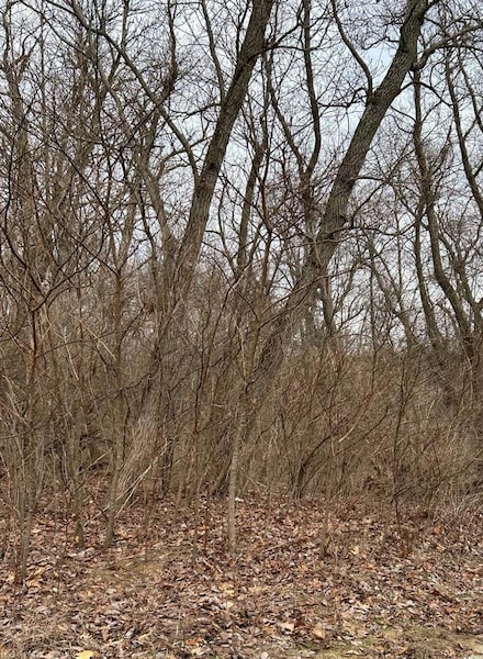 0 381 W, Lake Township, IN 46349