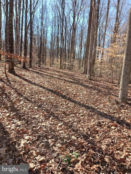 Lot 416 Lake Forest Dr Dr, Louisa, VA 23093