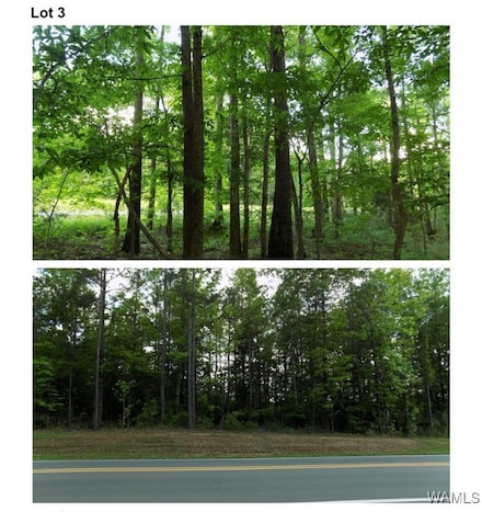 6030 Garner Rd, Tuscaloosa, AL 35405