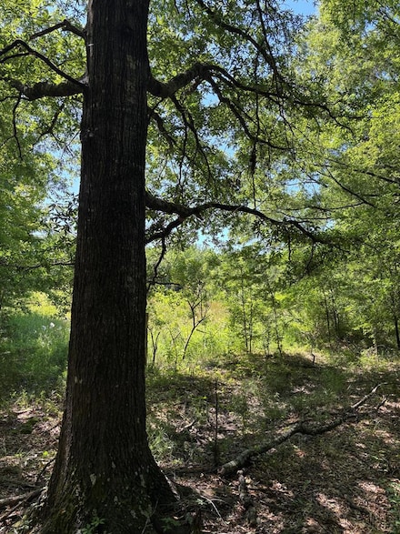 4506 Highway 330, Coffeeville, MS 38922