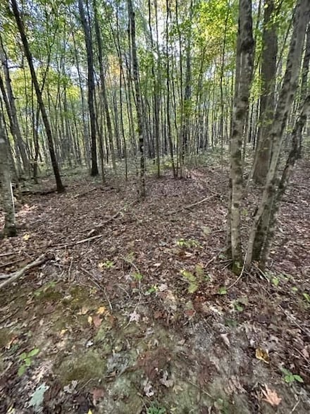 0 Cheyenne Dr Unit 18785654, Jamestown, TN 38556