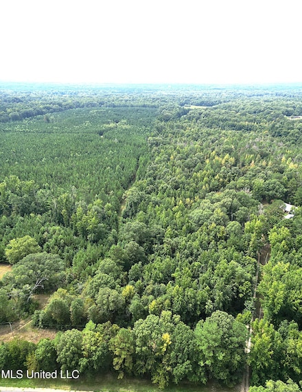 0 Kennebrew Rd Unit 4122791, Pocahontas, MS 39209