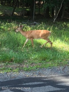 Lot 14.15,17 Pocono Mountain Lake Dr, Pocono Mountain Lake Estates, PA 18324