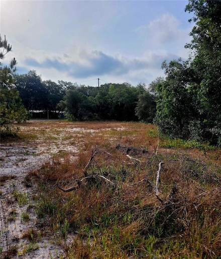 157 Deer Run Dr, Davenport, FL 33837