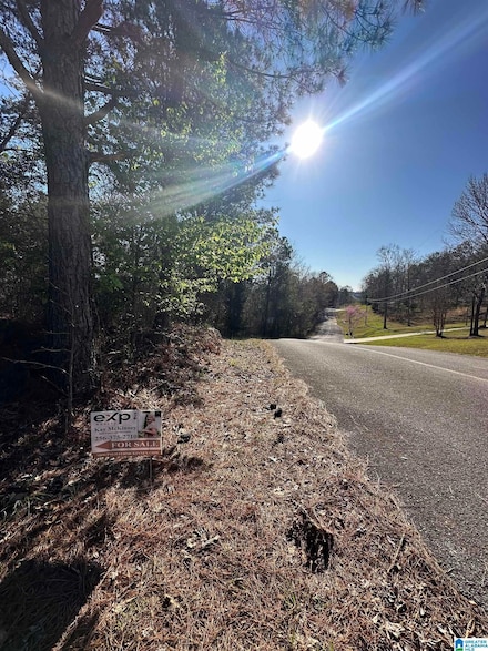 0 Mohawk Bluff Dr Unit 1 21409307, Ohatchee, AL 36271