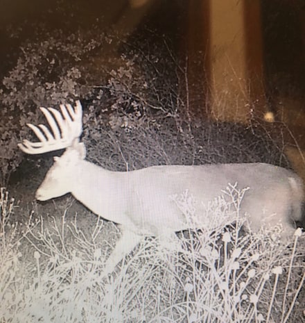 TBD Cr 434, Cross Plains, TX 76443