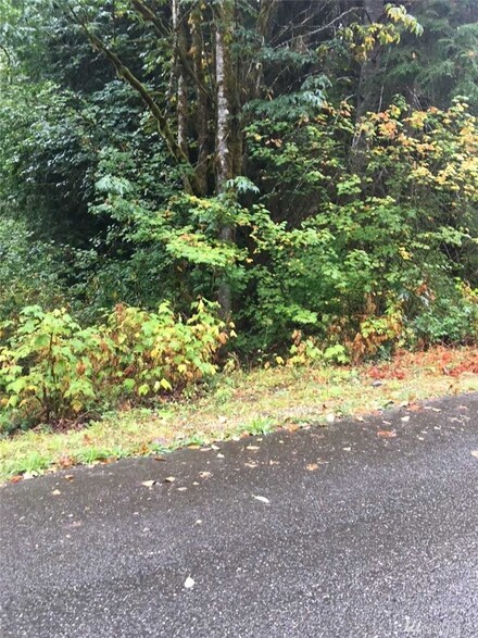 16021 Glacier Rim Dr, Deming, WA 98244