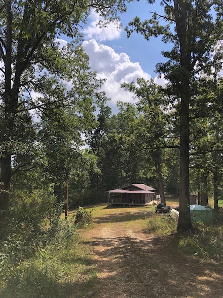 1142 Roscoe Davis Cemetery Rd, Genoa, WV 25517