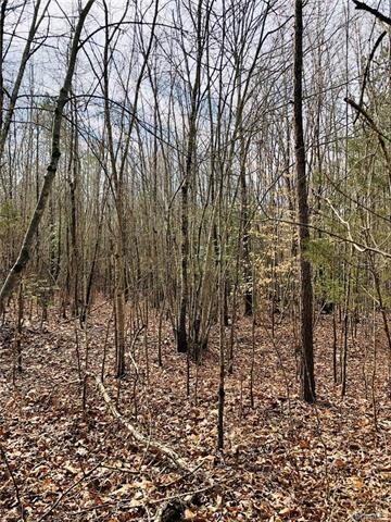 1 Boydton Plank Rd, Brodnax, VA 23920