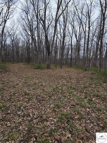 TBD Battle Ln, Mill Creek Township, MO 65354