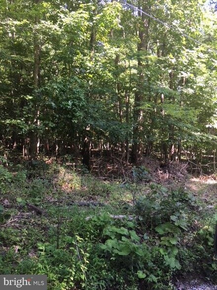 0 Black Oak Ln Unit 1002251826, Buckmarsh, VA 20135