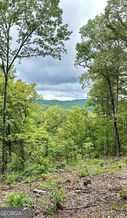 Lot 314 Pebble Trace Unit 314, Talking Rock, GA 30175