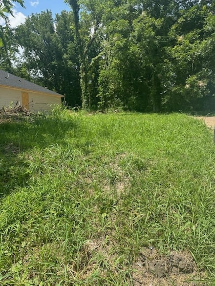 42 W Mallory Ave, Memphis, TN 38109