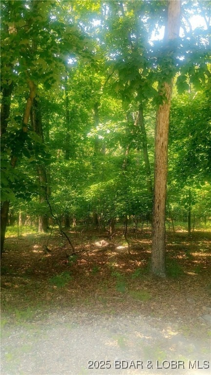 118 Veronica Ln, Village of Four Seasons, MO 65049