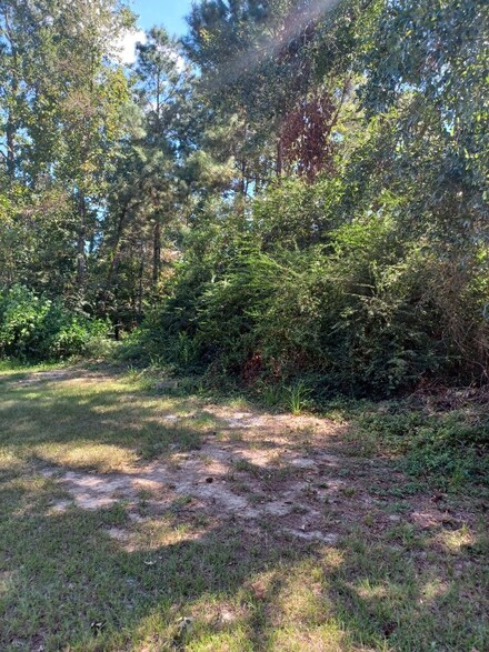 2018 Southwood Dr, Woodbranch, TX 77357