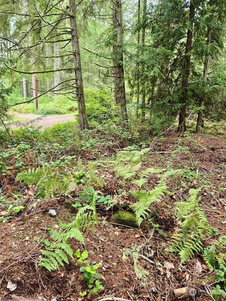 11119 122nd Avenue Ct, Anderson Island, WA 98303
