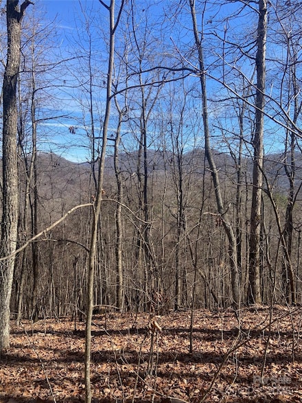 TBD Ashe Branch View Unit 66J, Hayesville, NC 28904