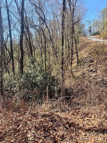 Lots 62&63 Oak Laurel Rd Unit 62,63, Brevard, NC 28712