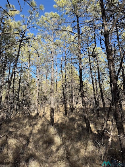 58 Oakmont Dr, Timberon, NM 88350