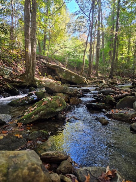 0 Lords Way, Andrews, NC 28901