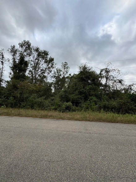 19143 Serpenteer Dr, Porter, TX 77365