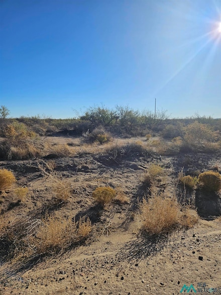 XXX Apache Hill, Deming, NM 88030