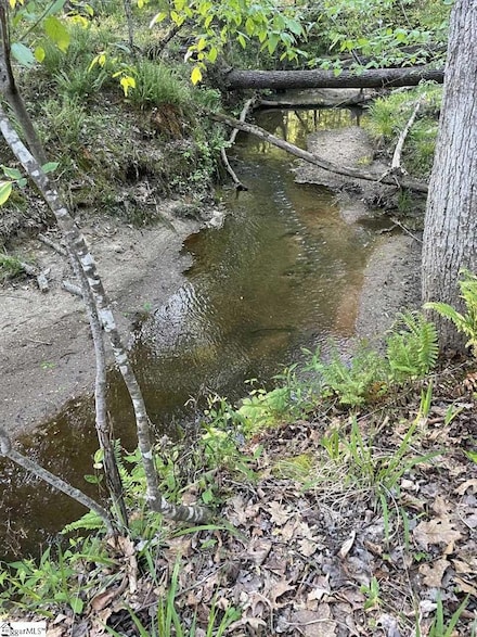 00 Left Bank Ct, Laurens, SC 29360