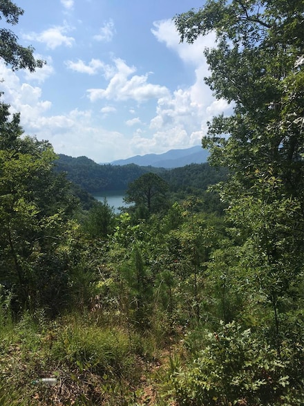 Lot 1A Laurel Creek - Round Hill Rd, Bryson City, NC 28713